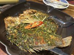 -雀舞云南菜(天津天河城购物中心店)