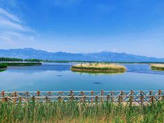 -野鸭湖国家湿地公园