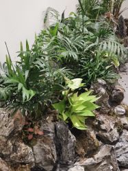 -康颜SPA自然疗愈皮肤管理中心