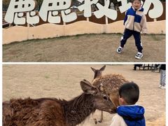 -盈香心动乐园