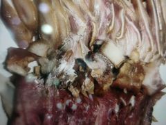 百年卤拼-百年神厨·地道川菜(清江西路店)