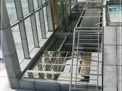 -北京中医药大学第三附属医院