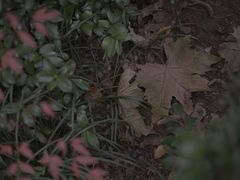 -千岛湖龙川湾