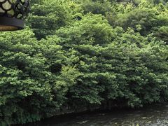 -兰亭风景区