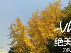 -西南交通大学(九里校区)