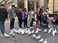 -王府井奥莱临潼小镇(临潼店)