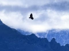 -天山天池风景区-西王母祖庙
