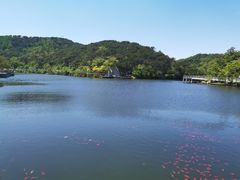 -棒棰岛宾馆景区
