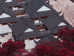 -金鸡山公园