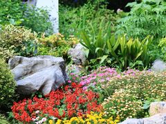 -上海共青森林公园