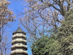 -灵谷景区