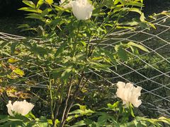 -南通博物苑-崇川人民公园