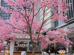 -首开·龙湖成都西宸天街