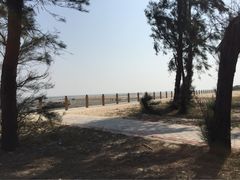 金海湾红树林-北海金海湾红树林生态旅游区