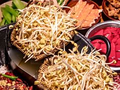 -阳阳老火锅(小南门店)