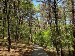 -帽儿山国家森林公园