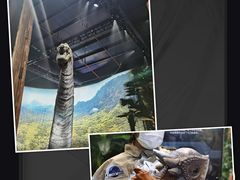 -侏罗纪世界电影特展(广州站)