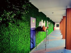 -南京外国语学校(仙林分校西区)