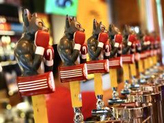 -Boxing Cat Brewery拳击猫精酿啤酒馆(思南公馆店)