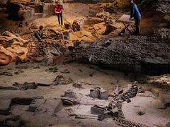 -自贡恐龙博物馆