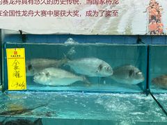 -有腥气私房菜·寻味顺德