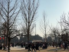 -赵州桥景区