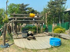-大连森林动物园