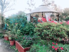 -三圣花乡旅游区