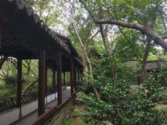 -上海佘山国家森林公园天马山园