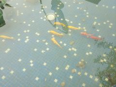 -小象钓虾·营地烧烤(洛溪店)