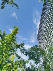 -上海首尔丽格医疗美容医院