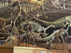 -世界恐龙谷景区