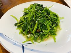 金钩海米鸡毛菜-新海渔港·胶东海鲜家常菜·家宴(奥体中心店)