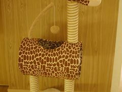 -猫腻·猫咖·撸猫馆(星光大道店)