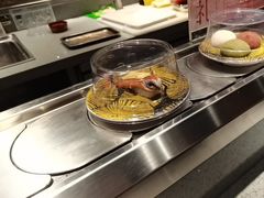 -小乔回转寿司(铁东万象汇店)