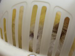 -御宝贝24h宠物医院·转诊中心·CT核磁血透中心(厦门总院)