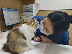 -瑞派康怡24h宠物医院·犬猫医疗中心·微创绝育(瑞景分院)