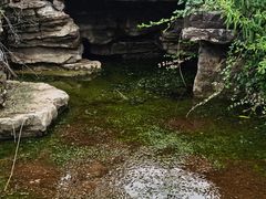 -中关村生命科学园