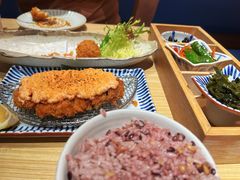 -堂本家·二代目·炸猪排(Express东海店)