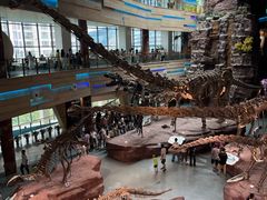 -安徽省地质博物馆