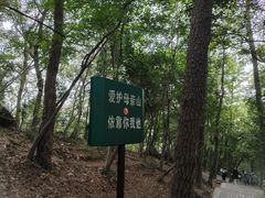 -紫金山山顶公园