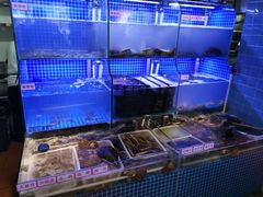 水产区-捞围鲜·港式打边炉(海阳路店)