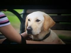 -星河国际影城(新会店)