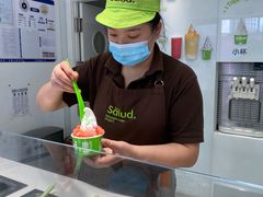 -Salud撒露欧洲冻酸奶(798艺术区店)