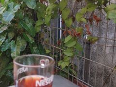 -多春茶室