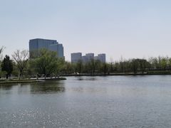 -西海子公园