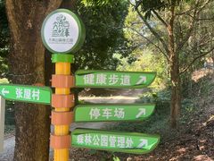 -佛山市三水区大南山森林公园
