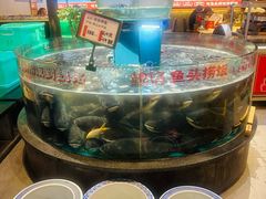 -魏铭鱼头捞饭(晋阳路店)