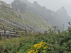 -灵山
