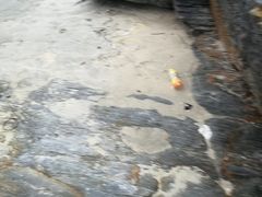 -盐洲岛